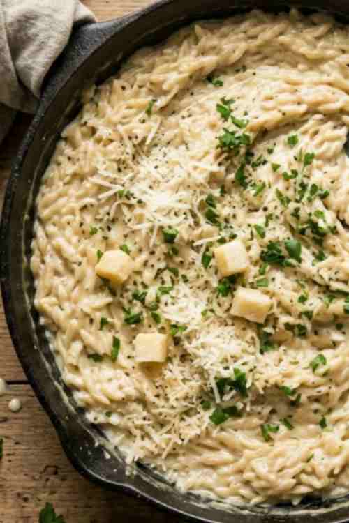 Quick and Easy Creamy Parmesan Orzo Pasta in One Pot